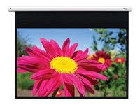 Optoma DE 1095EGAElectr pull down screen 16:10 - vue 2