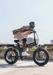 Bici elettrica per adulti 20'' Engwe X20, doppia batteria 48V 750W 22,2Ah - Grigio