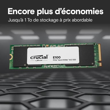 Crucial E100 Tray 2 To M.2 PCI Express 4.0 NVMe