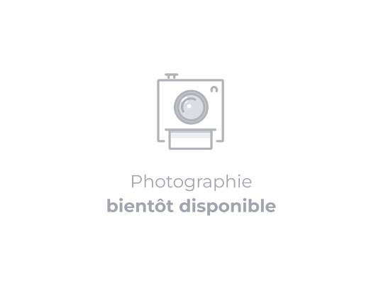 Accessoire Mini Hachoir Kenwood AT320B – Mini Cuves en Verre, Lames Inox - vue 4