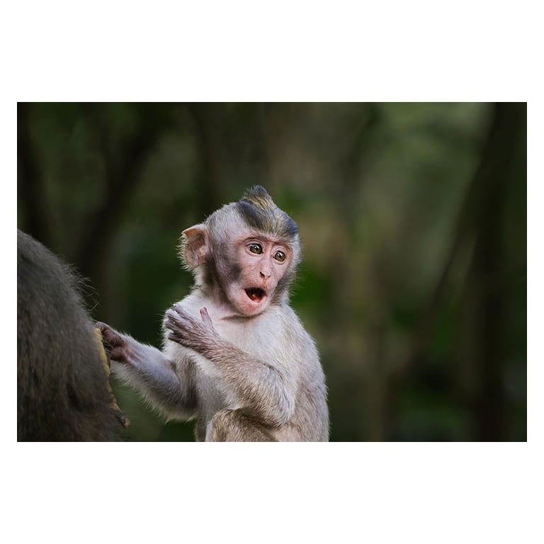 Objectif à Focale fixe Fujifilm XF 500 mm F5.6 R LM OIS WR et - vue 3