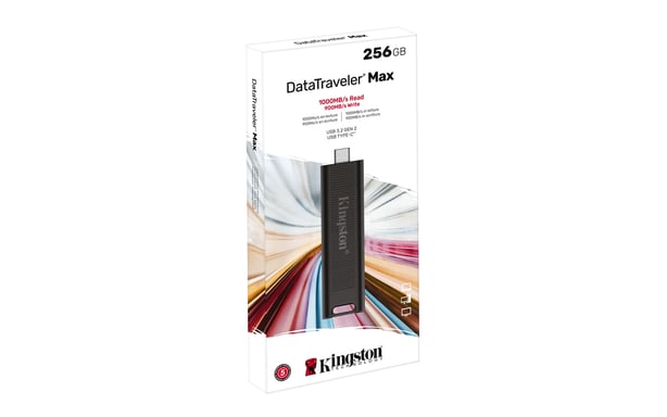 Tecnologia Kingston DataTraveler 256 GB Max 1000R/900W USB 3.2 Gen 2