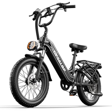 Bici elettrica Tifgalop XC20 per adulti, motore 70NM 250W, batteria 48V 20AH