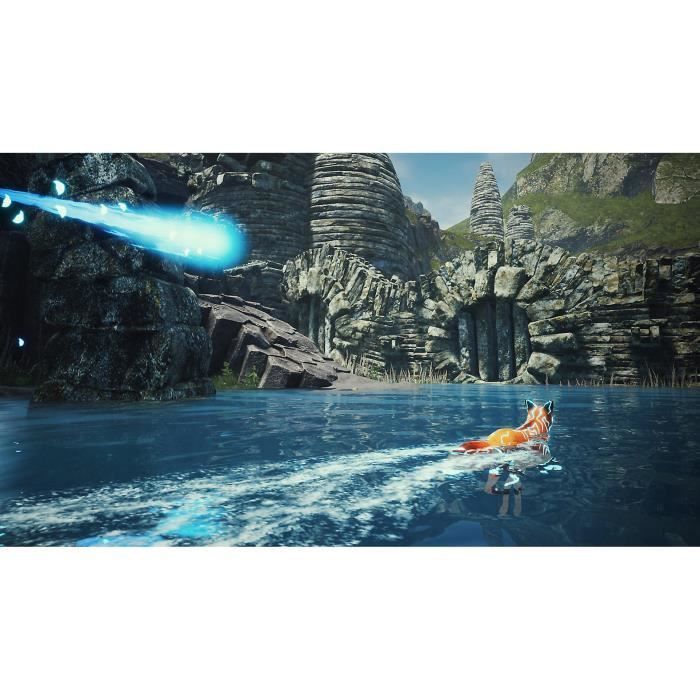 Spirit of the North Jeu Nintendo Switch - vue 3