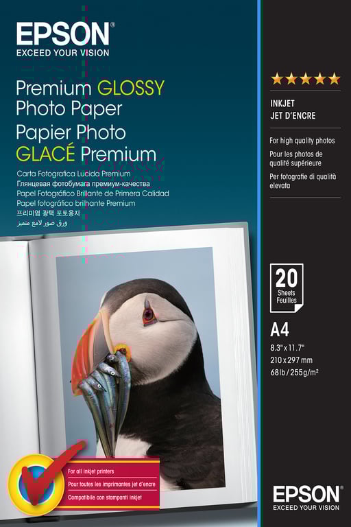 Epson Premium A4 210 x 297 mm 255 gm² 20 feuille papier photo pour EcoTank ET 2650 2750 2751 2756 2850 2851 2856 4750 4850 - vue 2