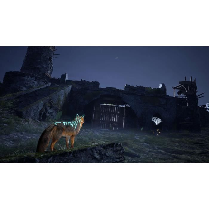 Spirit of the North 2 PS5 - vue 4