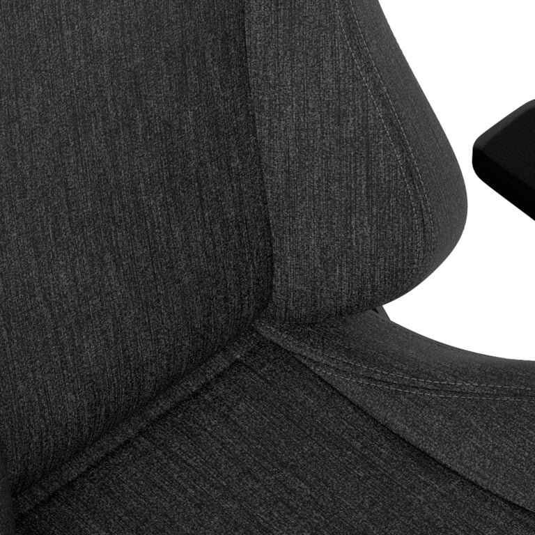 noblechairs EPIC Siège de jeu sur PC Siège rembourré Anthracite - Neuf