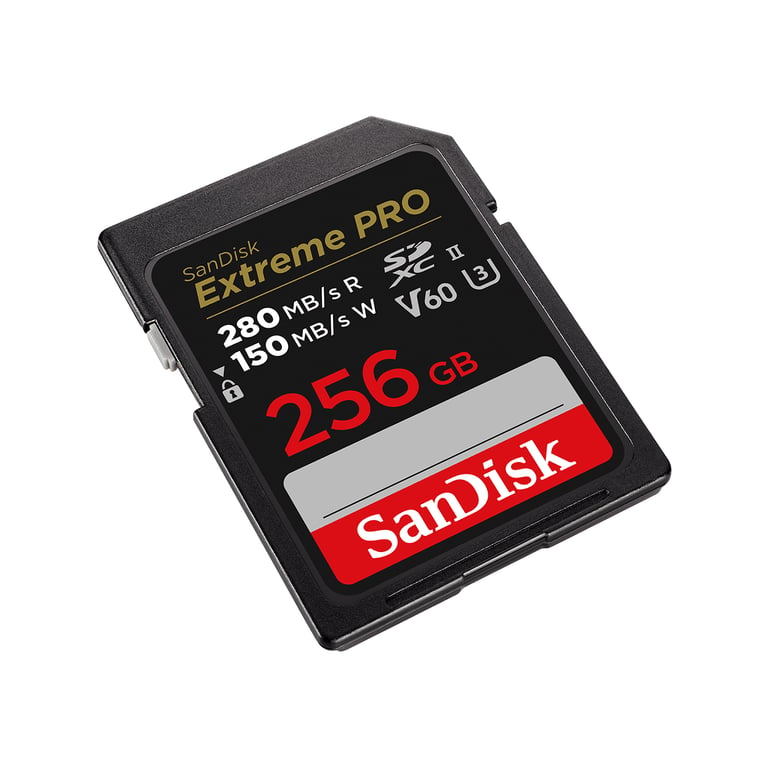 SanDisk SDSDXEP-256G-GN4IN mémoire flash 256 Go SDXC UHS-II Classe 10 - Neuf