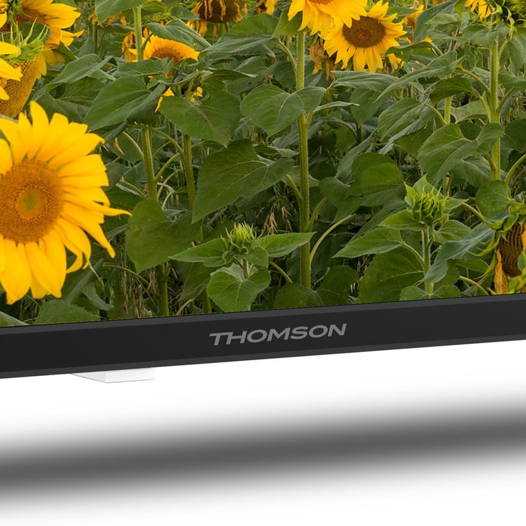 Thomson 24HA2S13C TV 61 cm (24 ) HD Smart TV Wifi Noir - Neuf