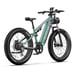 Duotts E26 Vélo électrique - Moteur 750W Batterie 48V20AH 26*4.0 Pouces Pneus Larges Freins Hydrauliques Avant et Arrière -  Vert Violet