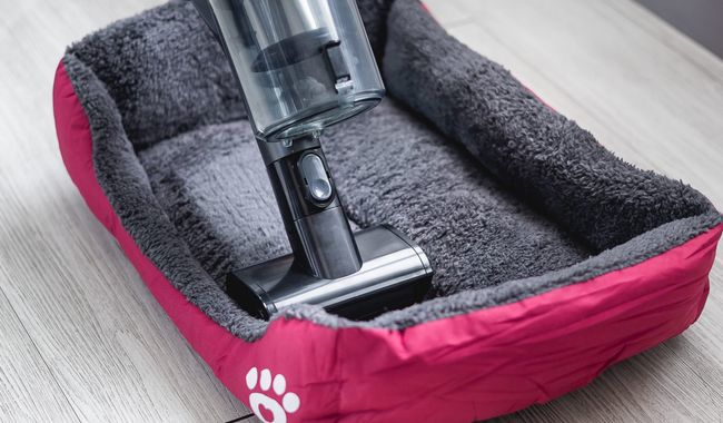 EZICLEAN CYCLOBOOSTFR15ANIMAL - vue 5