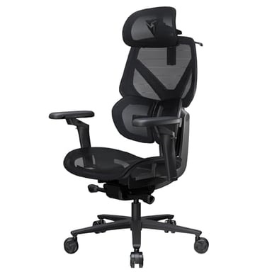 ThunderX3 Sedia ergonomica Flex Pro Mesh (Nero)
