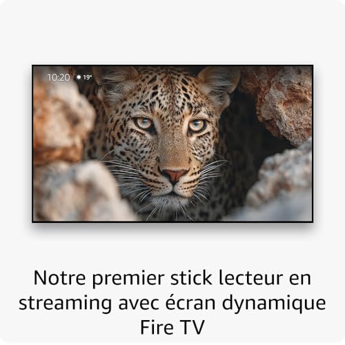 Amazon Fire TV Stick 4K Max Nouvelle génération Appareil de streaming avec fonctionnalité Écran dynamique et prenant en charge le Wi Fi 6E - vue 4