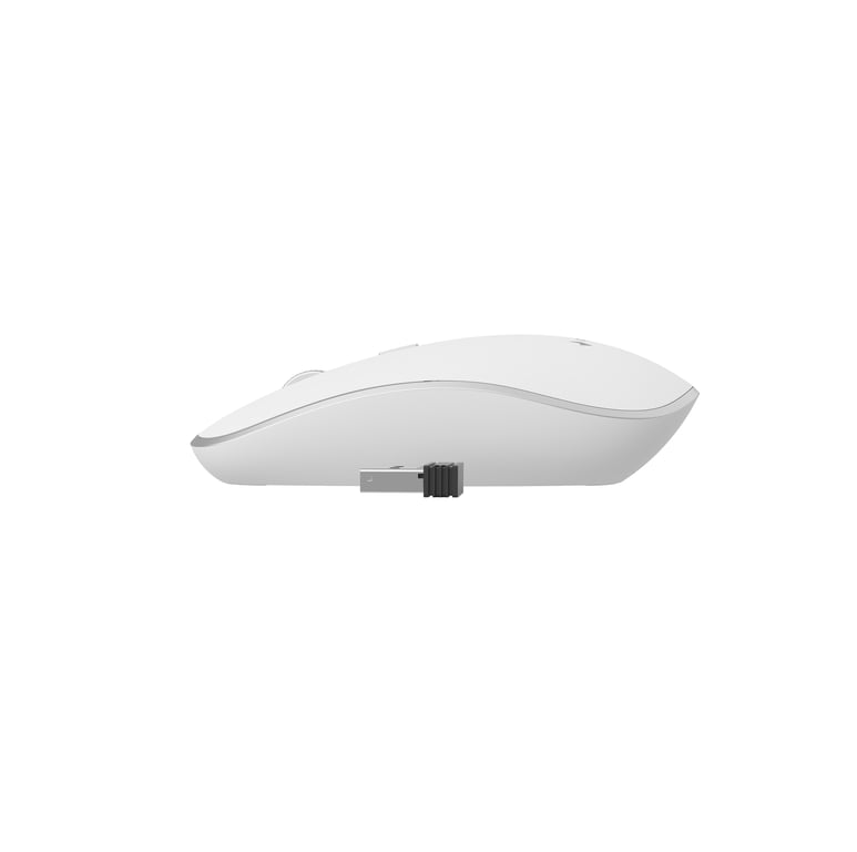 Gembird MUSW-4B-01-W souris Bureau Ambidextre RF sans fil Optique 1600 DPI - Neuf