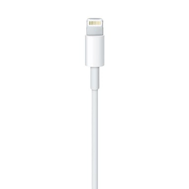 Apple MD818ZM/A Cavo Lightning da 1 m Bianco