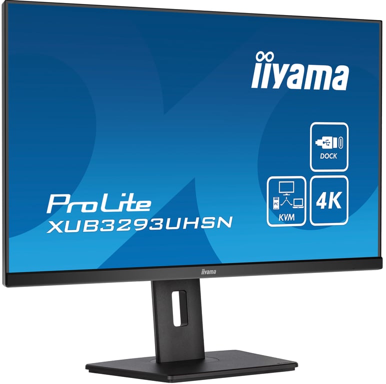 iiyama 31.5 LED ProLite XUB3293UHSN B5 - vue 7