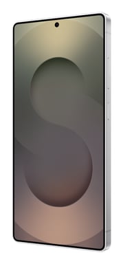 Galaxy S25 Ultra (5G) 1024 GB, Argento titanio