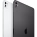 iPad Pro 11'' (2024), Puce M4, 256 Go - WiFi - Verre standard - Argent