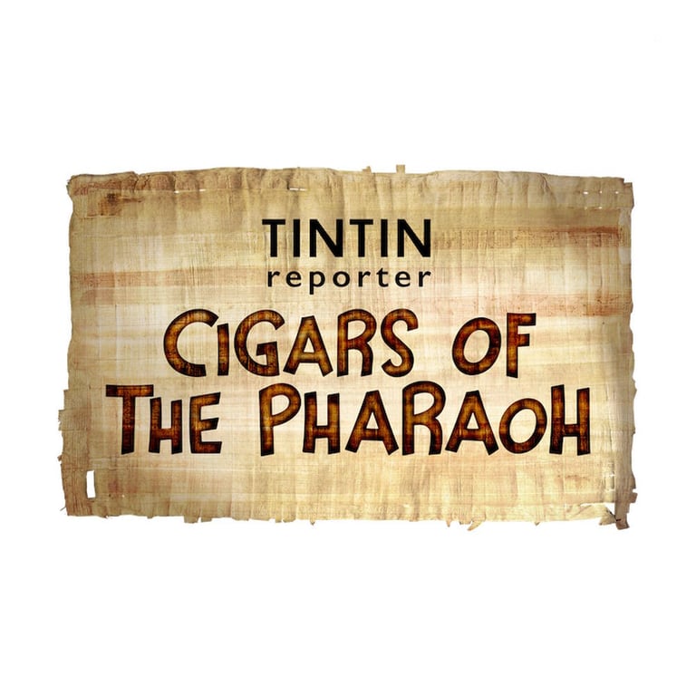 Tintin Reporter : Les Cigares Du Pharaon Édition Collector Switch - vue 4
