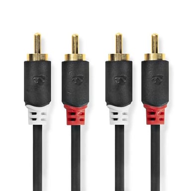 Nedis CABW24200AT30 cable de audio 3 m 2 x RCA Antracita