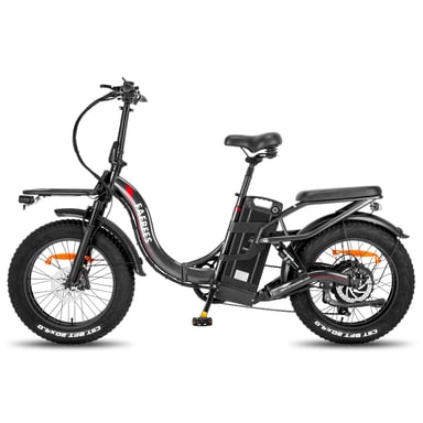 FAFREES F20 X-MAX Bicicleta Eléctrica - Motor 750W Batería 48V30AH Autonomía 180KM - Gris