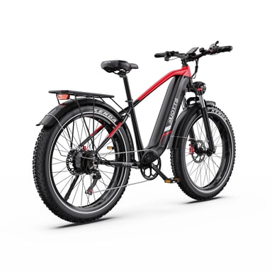 VéLo Électrique F26 Lite | Vitesse Max 25 km/h | Autonomie 50 km | Moteur 250W | Batterie 48V 20Ah | Pneus 26 Pouces | Noir