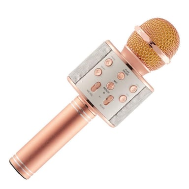 Riff WS-858 Microphone karaoké avec haut-parleurs Aux et Micro SD Or Rose