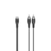 Hama 00205184 câble audio 2 x RCA RCA Noir