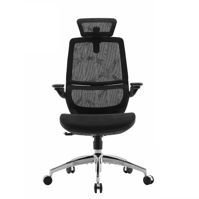 SIHOO M59AS Chaise de bureau ergonomique Accoudoirs 3D réglables & rabattables Double dossier avec support lombaire Coussin en forme de selle Maille haute qualité Certifié BIFMASGS 150kg max 43.5x50.5x101.6cm Neuf - vue 4