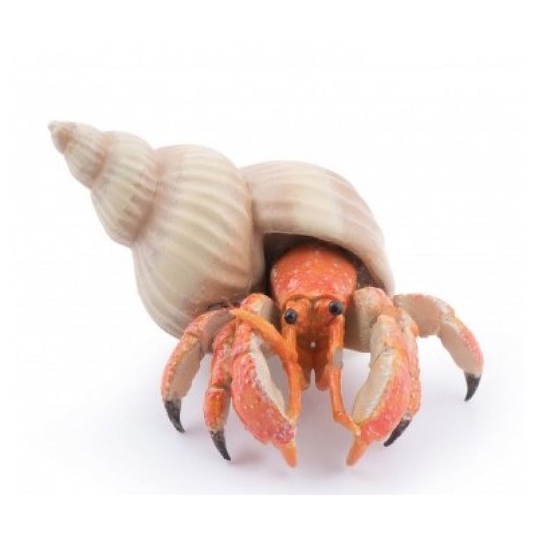 Figurine Papo Bernard 'Hermite Crustacé Réaliste pour Enfants Neuf