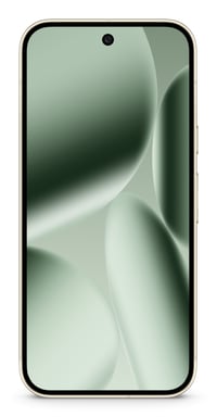 Pixel 10 Pro XL (5G) 256 GB, Verde