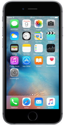 iPhone 6s 32 Go, Gris sidéral, débloqué