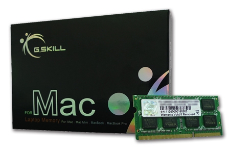 G.Skill 4GB DDR3 1066 SQ MAC module de mémoire 4 Go 1 x 4 Go 1066 MHz Neuf