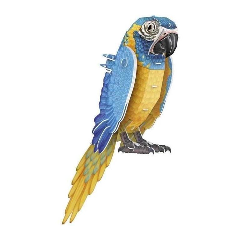 Puzzle 3D Perroquet Jeu de construction EXPLORA Oiseau 94 pièces Dès - vue 4