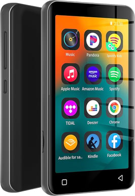 Lecteur MP3 de 4 pouce 80 Go avec Bluetooth et WiFi gris