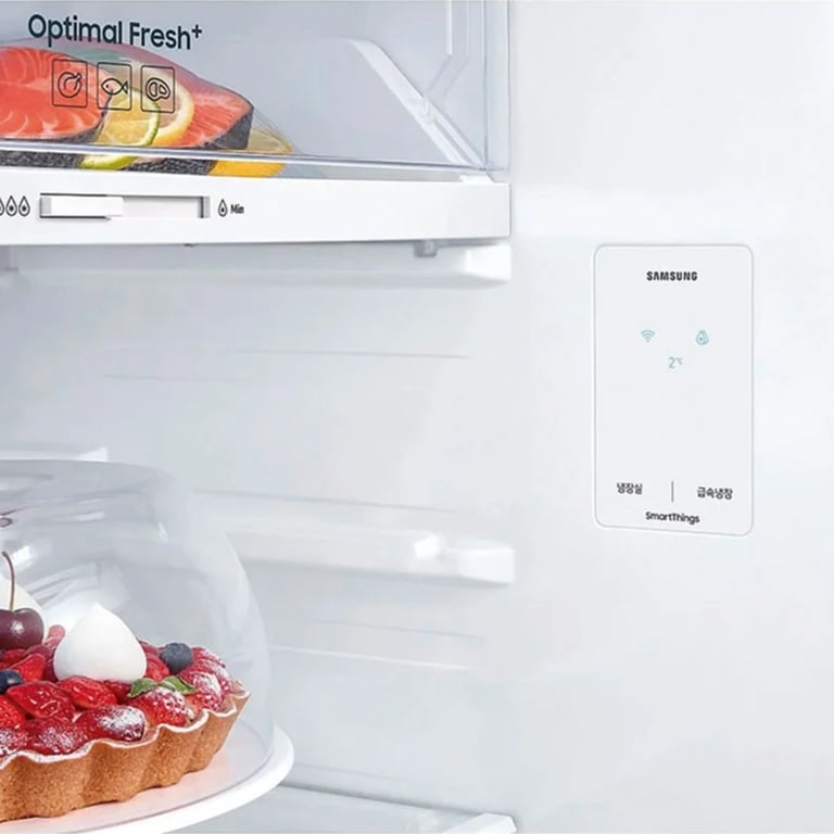 Réfrigérateur Combiné SAMSUNG RT31CG5624S9 – Volume 305 L, Froid Ventilé, Wi-Fi - vue 4