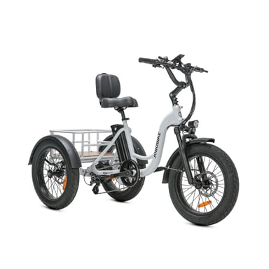 Triciclo elettrico cargo per anziani JOBOBIKE Triker 20 pollici, batteria 48V13AH