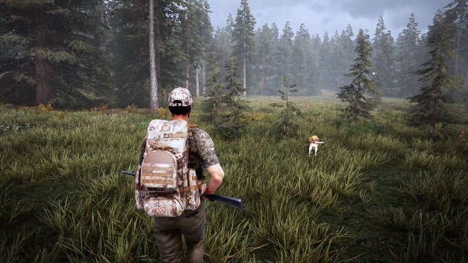 Bigben Interactive Hunting Simulator 2