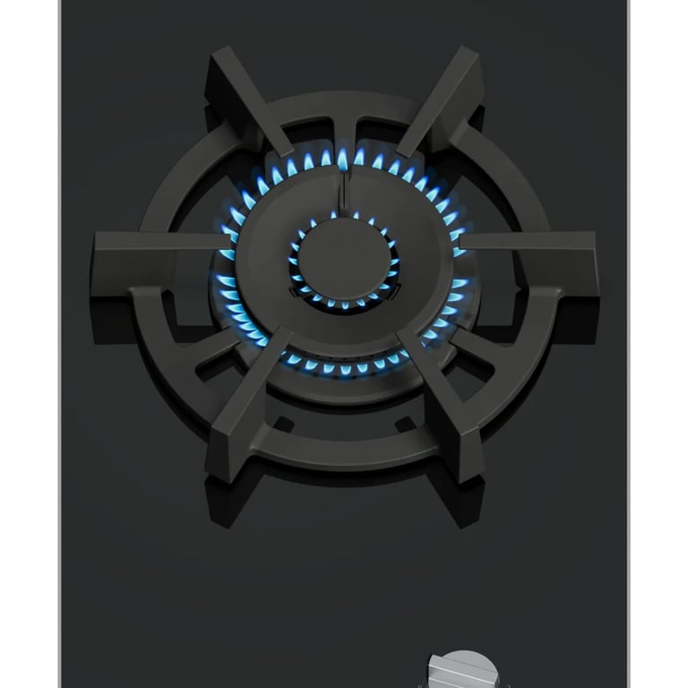 Siemens Domino gaz 30cm 1 feu noir - ER3A6AI10