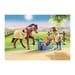 PLAYMOBIL - 70523 - Cavalier avec poney brun
