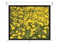 243 x 187 cm image visible : 234 x 175 cm Bords noirs gain 1.0 Manuel
