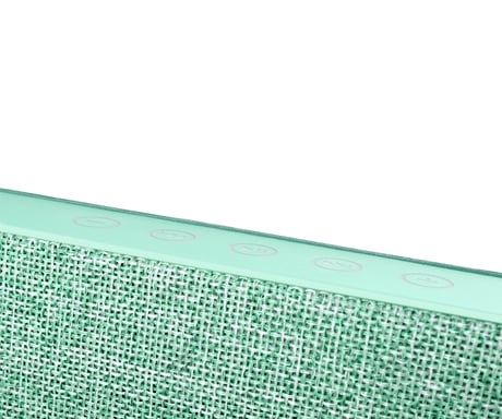 Fresh 'n Rebel Rockbox Brick Fabriq Edition - Peppermint
