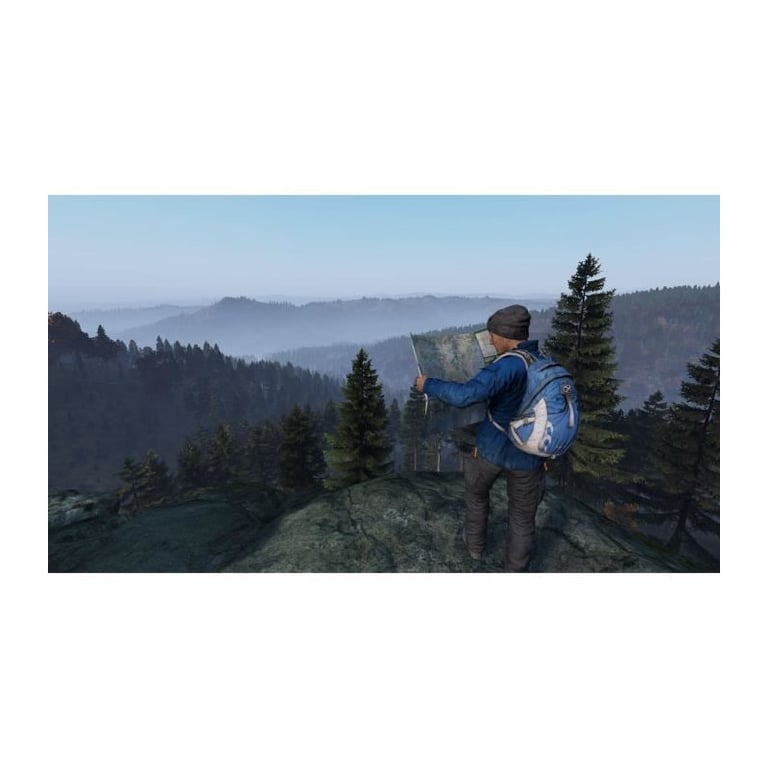 Dayz Ps4 - vue 4