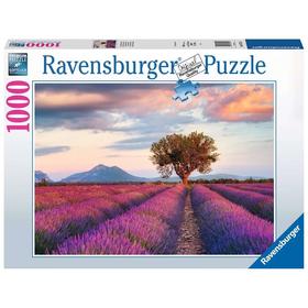 Puzzle Campos De Lavanda 1000 Piezas