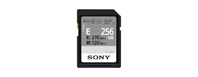 Sony SF-E256 256 GB SDXC UHS-II Classe 10