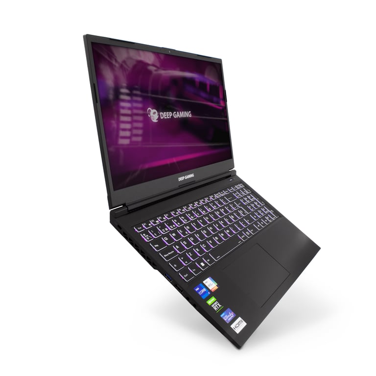 Ordinateur Portable Gamer DeepGaming Nubian 15.6 Intel Core i7-12700H/64Go/ 1To SSD PCIe 4.0/RTX 3050/Windows 11 Pro préinstallé sans licence -  DeepGaming