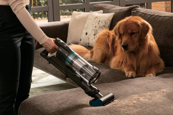 Hoover HF1P10P 011 Aspiradora escoba Batería Secar Sin bolsa 0,7 L 165 W Negro, Azul 2,2 Ah