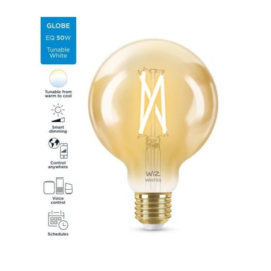 WiZ Globe 95 vintage variabile bianco E27 50W lampadina connessa