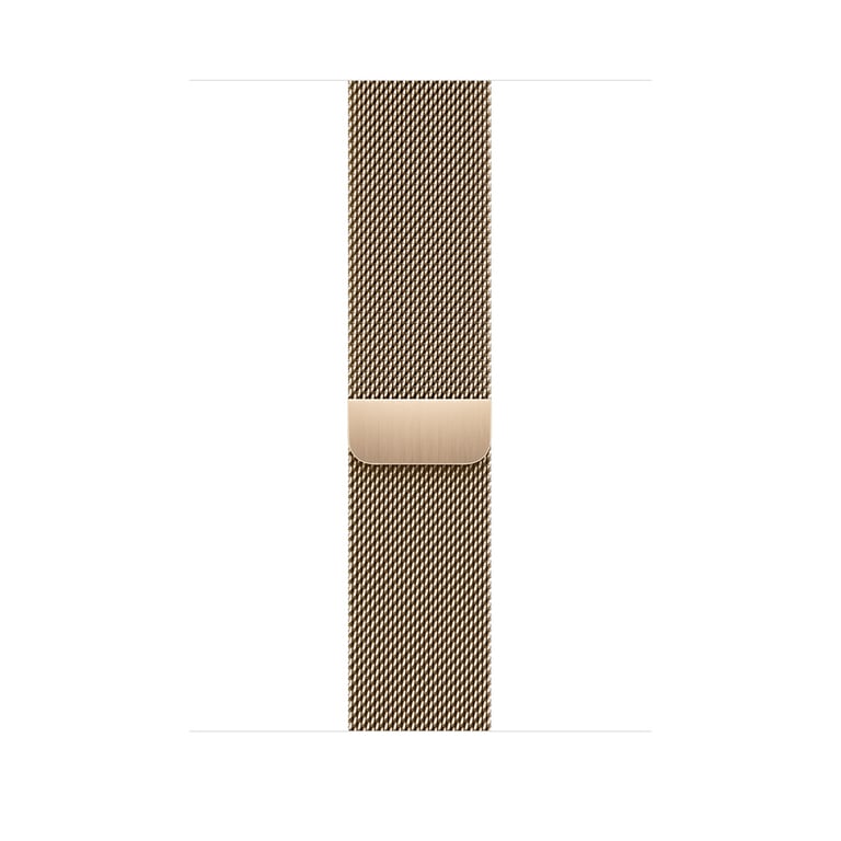 Bracelet Apple Watch 45mm Milanais - vue 10