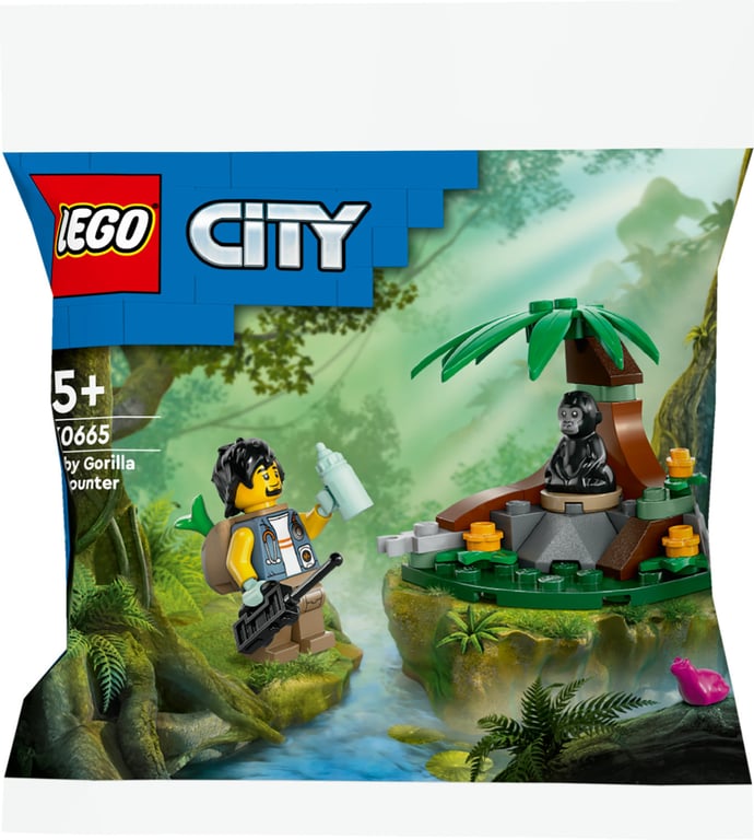 LEGO LEG30665 - vue 2